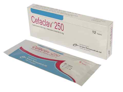 Tab. Cefaclav 250 mg + 62.5 m