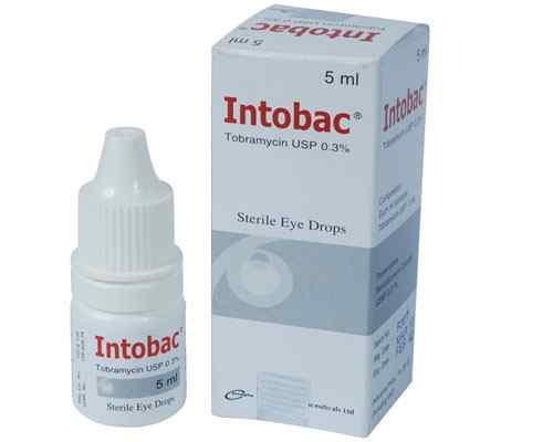  Eye Drop Intobac     5 ml 3 mg/ml