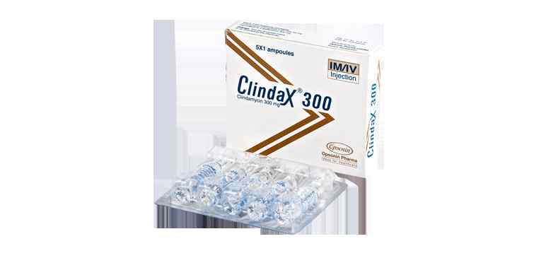 Inj. Clindax    300 mg / 2 ml