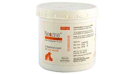  Cream Neozine 500 gm 1 %