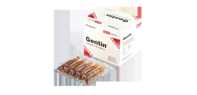 Inj. Gentin 20 mg / 2 ml