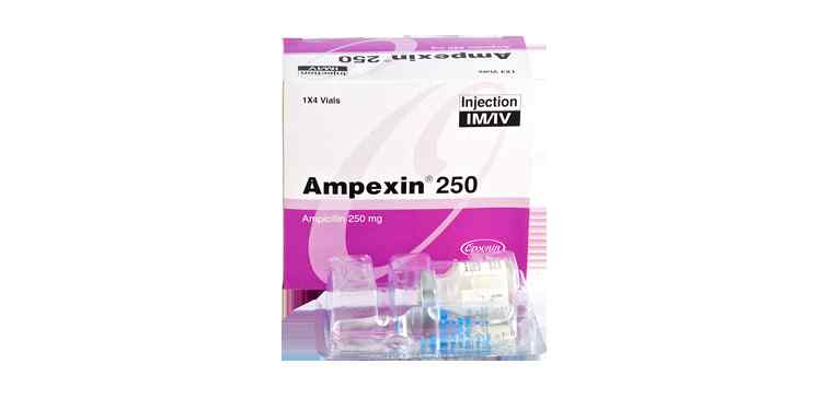 Inj. Ampexin 250 mg