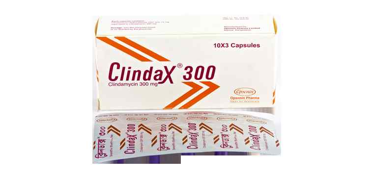 Cap.                     Clindax   300 mg